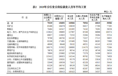 2019年全國規(guī)上企業(yè)就業(yè)人員年平均工資增長10%，軟件和信息技術(shù)服務(wù)業(yè)投資與管理成亮點(diǎn)